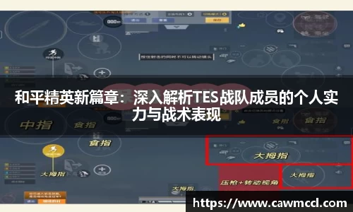 k1体育