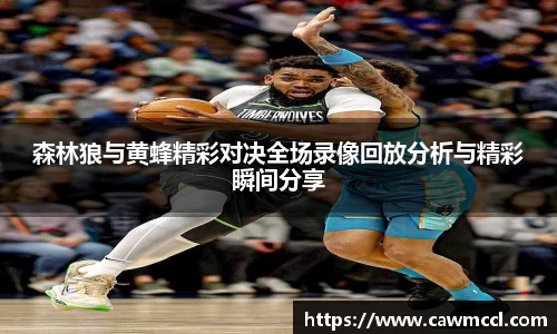 森林狼与黄蜂精彩对决全场录像回放分析与精彩瞬间分享